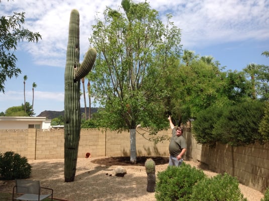 Moon Valley Nurseries 572 Photos 379 Reviews Nurseries Gardening 1875 S Arizona Ave Chandler Az Phone Number Yelp