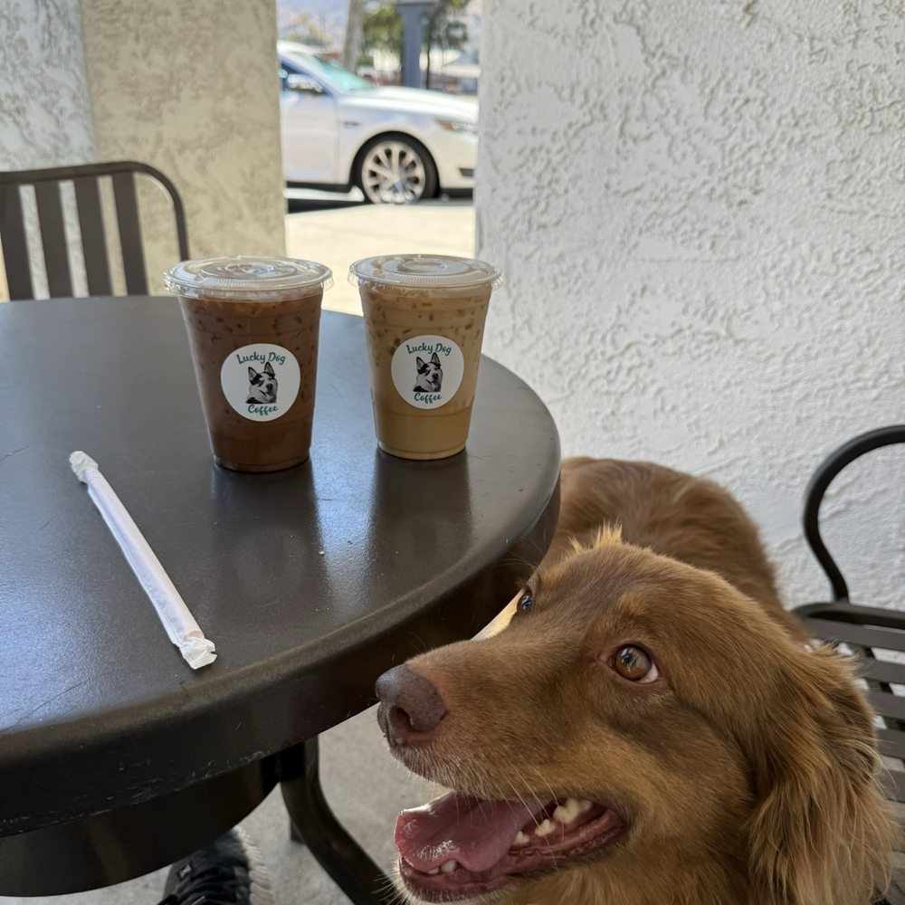 Lucky Dog Coffee - Coffee - Coffee & Tea Near Me - Simi Valley, California Lucky Dog Coffee - Coffee - Coffee & Tea Near Me - Simi Valley, California