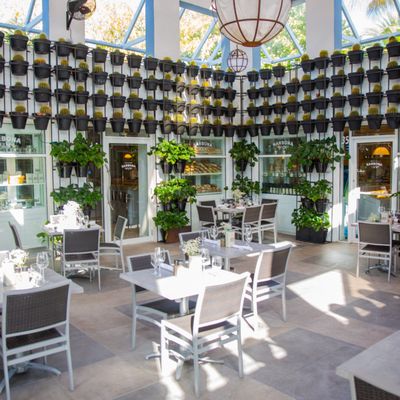 NARBONA Key Biscayne by null