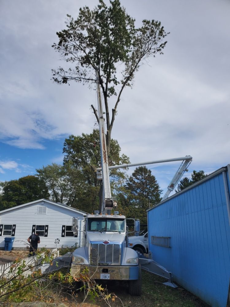 Minor's Tree Service - tree service in Petersburg, IL