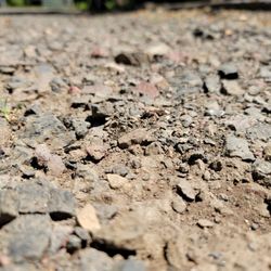 Buxman Excavation & Landscape - These are huge , dangerous and jagged rocks popping out of the gravel product.
