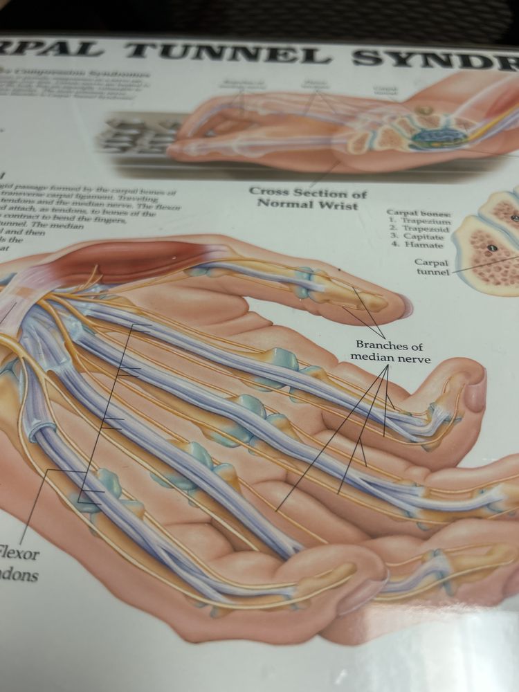 FORM HAND, WRIST & ELBOW INSTITUTE Updated August 2024 39180