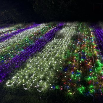 Parque de las Ciencias - Fiesta de Luces - Parks Near Me - Bayamón, Puerto Rico