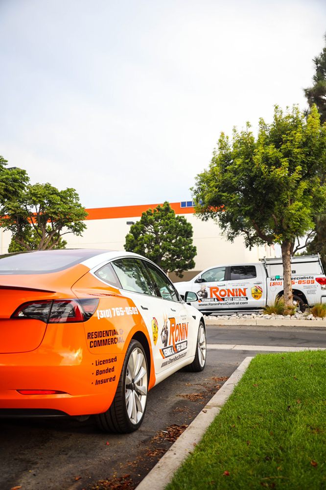 RONIN PEST CONTROL Updated October 2024 561 Photos & 1090 Reviews