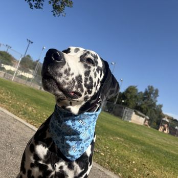 First Class Boarding &Training - Pet Boarding Near Me - Diamond Bar, California