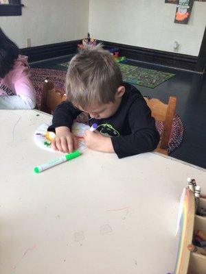 Little Golden Goose by null