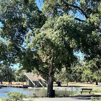 Oak Grove Regional Park - Lovely pond area - Parks Near Me - Stockton, California