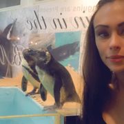池袋のペンギン 東京動物園 ＜ペンギンのいるBAR 池袋＞ | puzzle inc.