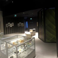 Shiny Bud - Come visit us!