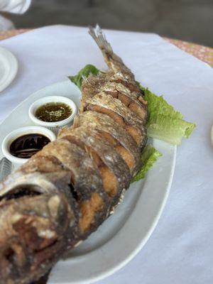 Saladang by null