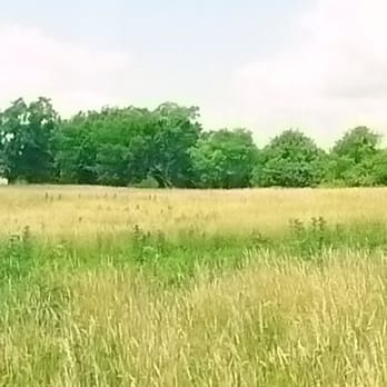 Brawner Farm - Landmarks & Historical Buildings Near Me - Gainesville, Virginia