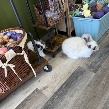 Swamp Yayas Yarn Shoppe - Rabbit - Art Supplies Near Me - Mandeville, Louisiana