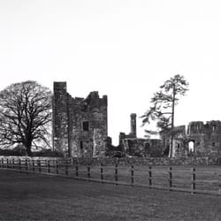 Bective Abbey