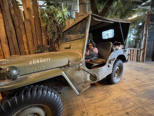 Bird Kingdom by null