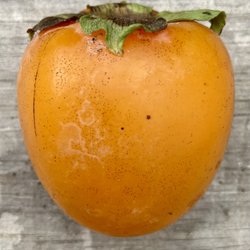 Trusty Farms - Persimmon 'Tanenashi'