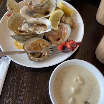 The Buffet - Buffets Near Me - College Point, New York The Buffet - Buffets Near Me - College Point, New York
