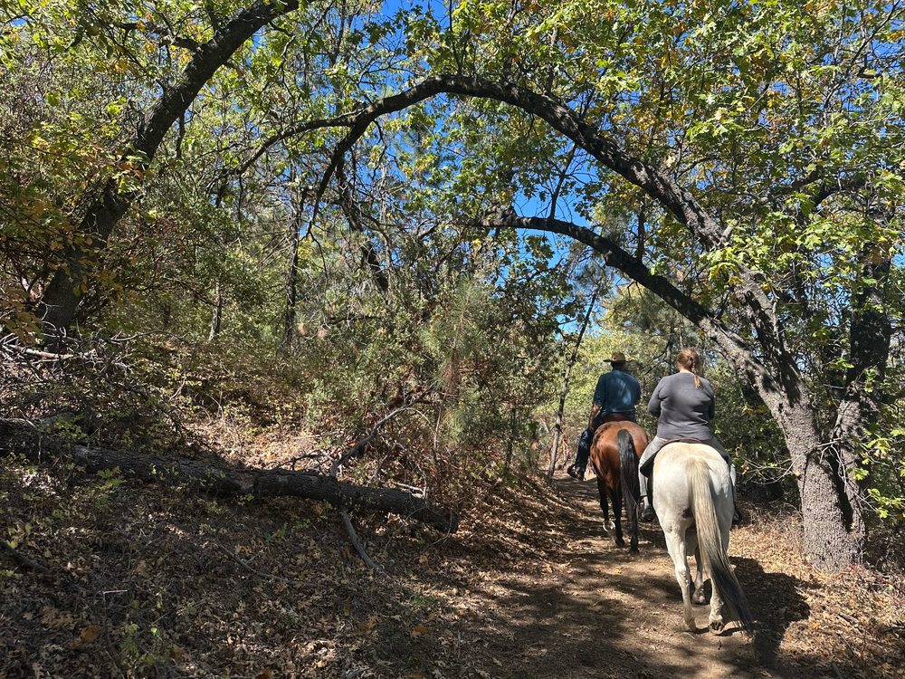 The Stables - Sacred Mountain Logo