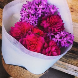 Botanicals On Barkly - Roses & Hyacinth