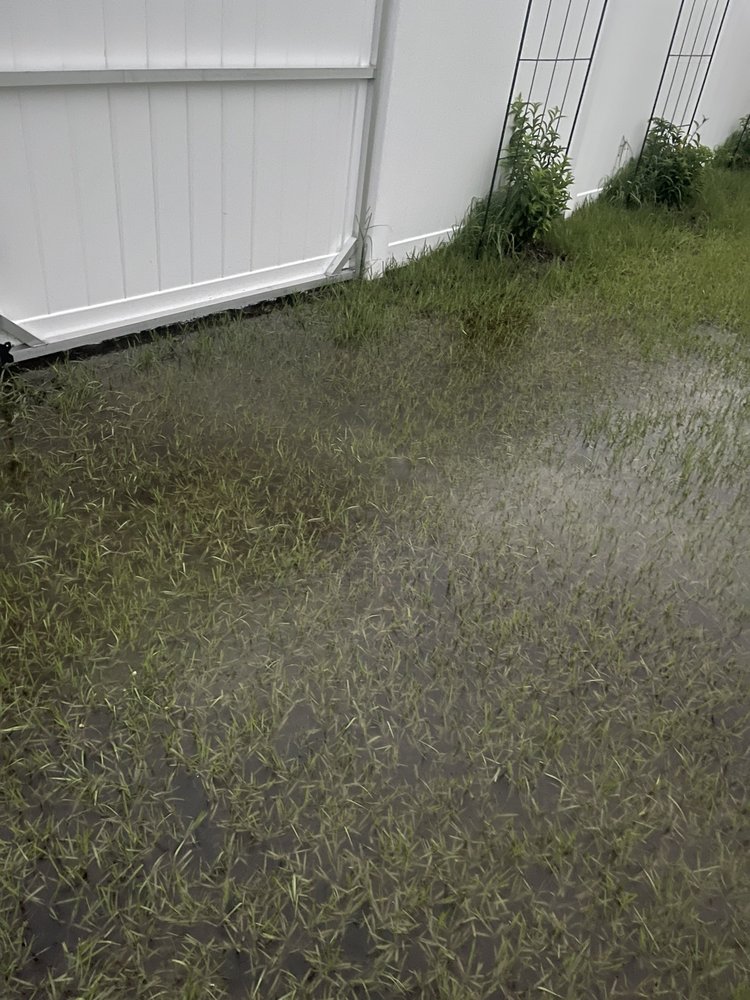 GRACELAND ESTATES BY MARONDA HOMES Updated September 2024 34 Photos