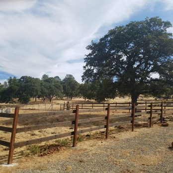 Peaceful Pastures Ranch - Pasture - Horse Boarding Near Me Peaceful Pastures Ranch - Pasture - Horse Boarding Near Me