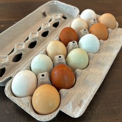 One Last Thing - Pasture raised Heritage eggs