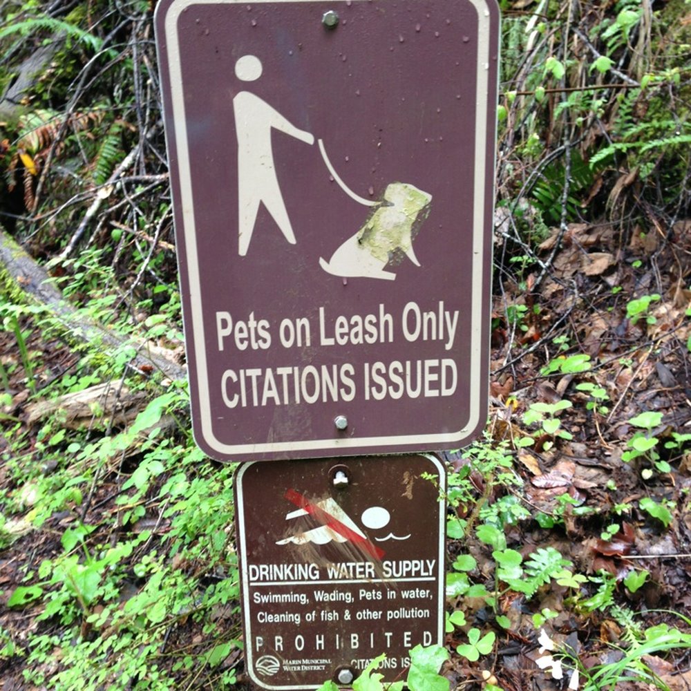 Cataract Falls Trail - Doggies welcome! - Hiking Near Me Cataract Falls Trail - Doggies welcome! - Hiking Near Me