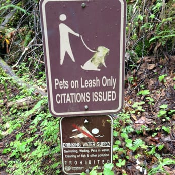 Cataract Falls Trail - Doggies welcome! - Hiking Near Me Cataract Falls Trail - Doggies welcome! - Hiking Near Me