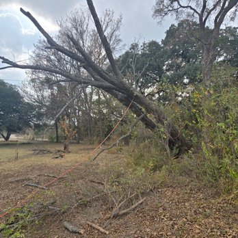 Maness Tree & Brush Service - Tree Services Near Me - Tuscola, Texas Maness Tree & Brush Service - Tree Services Near Me - Tuscola, Texas