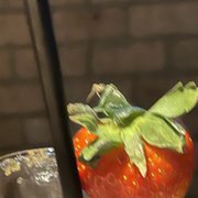 Photo of The Melting Pot - Houston - Houston, TX, United States. Bug