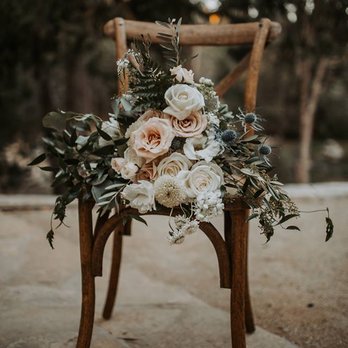 Dani Lacey Photographs - Event Photography Near Me