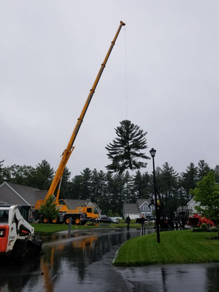 Ducharme Tree Service - tree service in Merrimack, NH