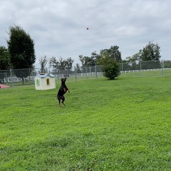 Wingmont Stables & Kennels - Pet Sitting Near Me - Aylett, Virginia Wingmont Stables & Kennels - Pet Sitting Near Me - Aylett, Virginia