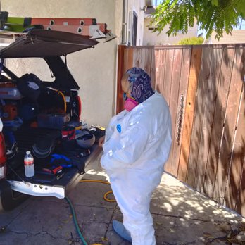 Bellbrook Pest and Termites - Pest Control Near Me