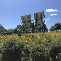 Redwood Hill Farm & Creamery