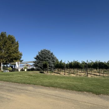 Dude DeWalts Cellars - Vines - Wine Tasting Room Near Me - Eagle, Idaho Dude DeWalts Cellars - Vines - Wine Tasting Room Near Me - Eagle, Idaho