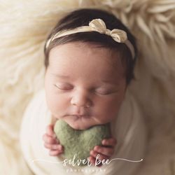 Silver Bee Photography