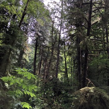 Twanoh State Park - Campgrounds Near Me - Union, Washington