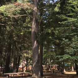 Saratoga RV Park - Hiking Trails, Biking Trails, Fire Ring & Planned Activities