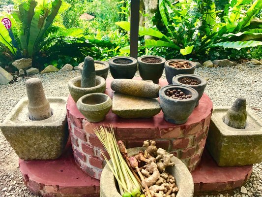 Tropical Spice Garden by null