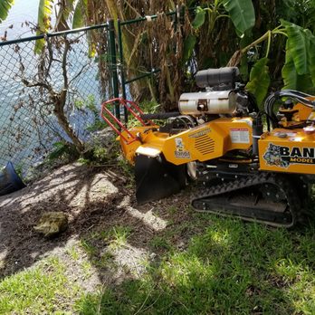 Stumpy Joe's - Tree Services Near Me Stumpy Joe's - Tree Services Near Me
