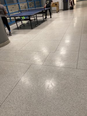 Chelsea Pool by null