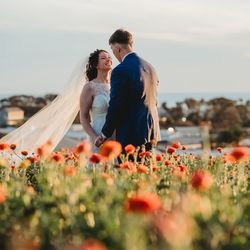 Toby Ogden Photography - Our wedding at the Flower Fields