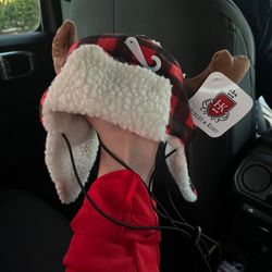 A Christmas dog hat