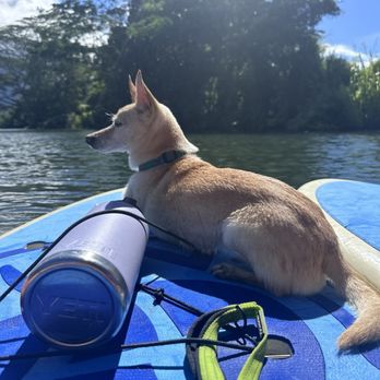 Kayak Hanalei - They even allowed my dog! - Tours Near Me - Hanalei, Hawaii Kayak Hanalei - They even allowed my dog! - Tours Near Me - Hanalei, Hawaii