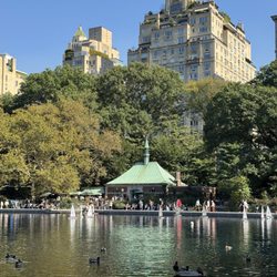 The Lake at Central Park