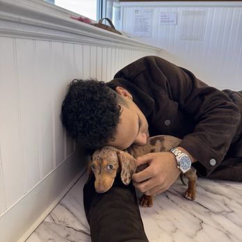 Furrylicious - mini dachshund - Pet Stores Near Me - Whitehouse Station, New Jersey