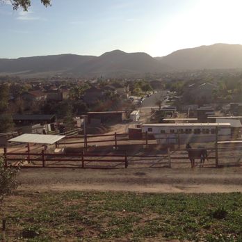 Hawkrest Ranch - The view from our house with Jazzy taking the opportunity to pose. - Horse Boarding Near Me - Murrieta, California Hawkrest Ranch - The view from our house with Jazzy taking the opportunity to pose. - Horse Boarding Near Me - Murrieta, California