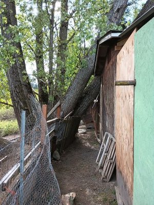 Alan-Smith Insurance