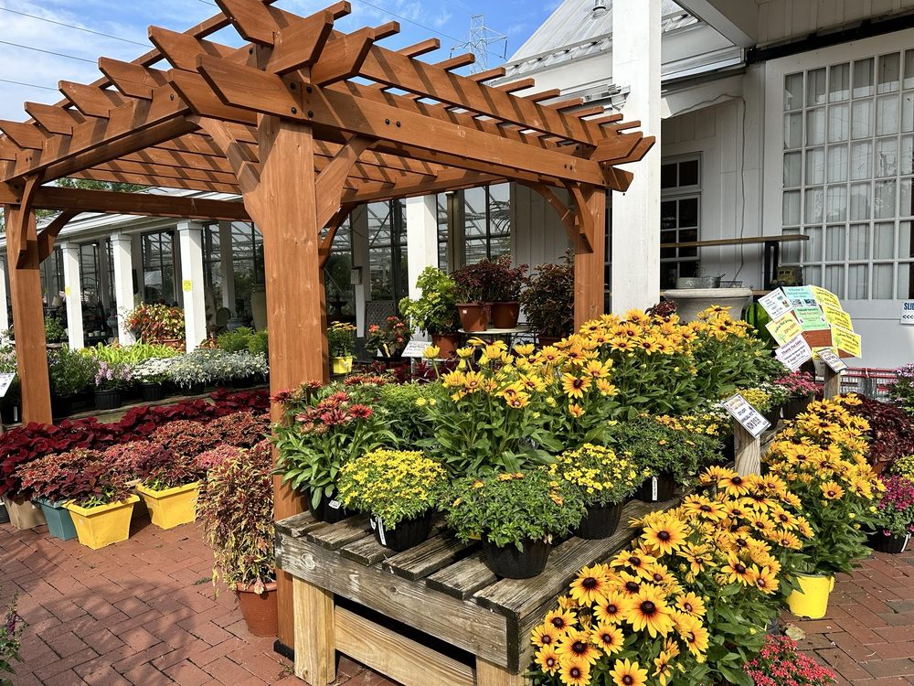 OAKLAND NURSERY Updated September 2024 55 Photos & 33 Reviews