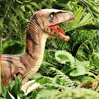Hicks Nurseries - a t - rex in the jungle - Nurseries & Gardening Near Me - Westbury, New York